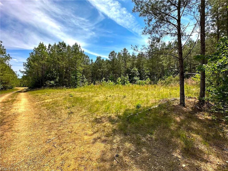 Photo 37 of 42 land for sale in Emporia virginia