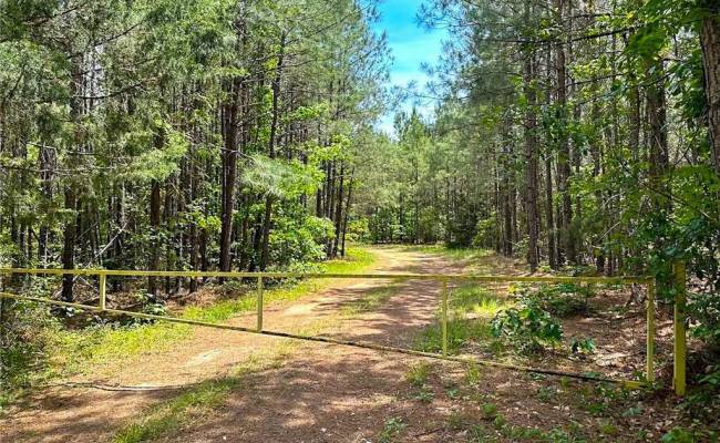 145AC Moore's Ferry Road, Emporia, VA 23847