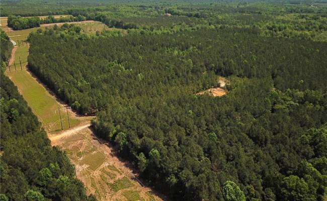 145AC Moore's Ferry Road, Emporia, VA 23847