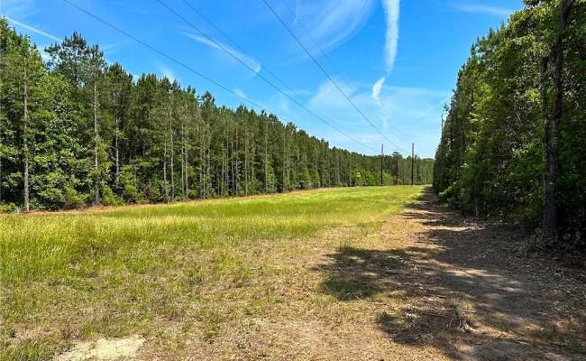 145AC Moore's Ferry Road, Emporia, VA 23847
