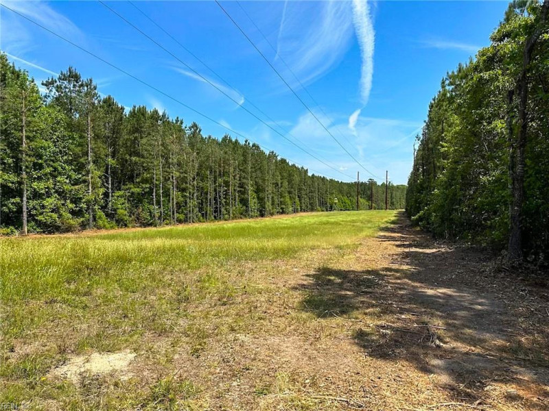 Photo 6 of 42 land for sale in Emporia virginia