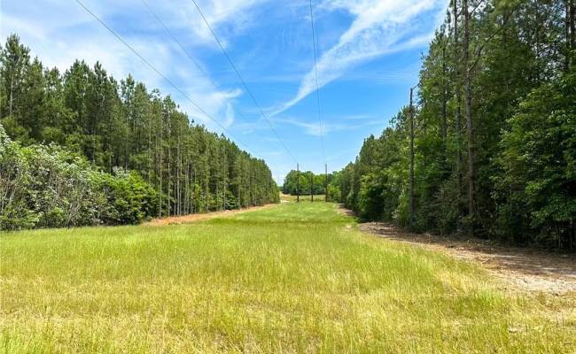 145AC Moore's Ferry Road, Emporia, VA 23847