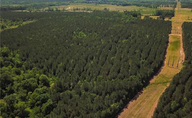 145AC Moore's Ferry Road, Emporia, VA 23847