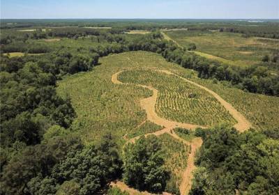 43 AC Spring Church Road, Emporia, VA 23847