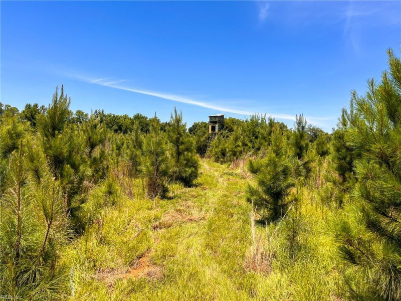 Photo 12 of 45 land for sale in Emporia virginia