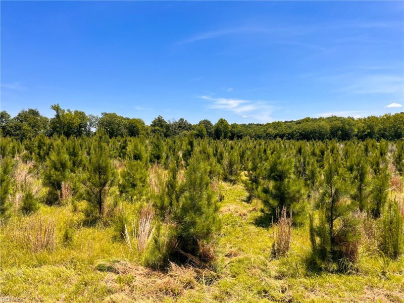 Photo 18 of 45 land for sale in Emporia virginia