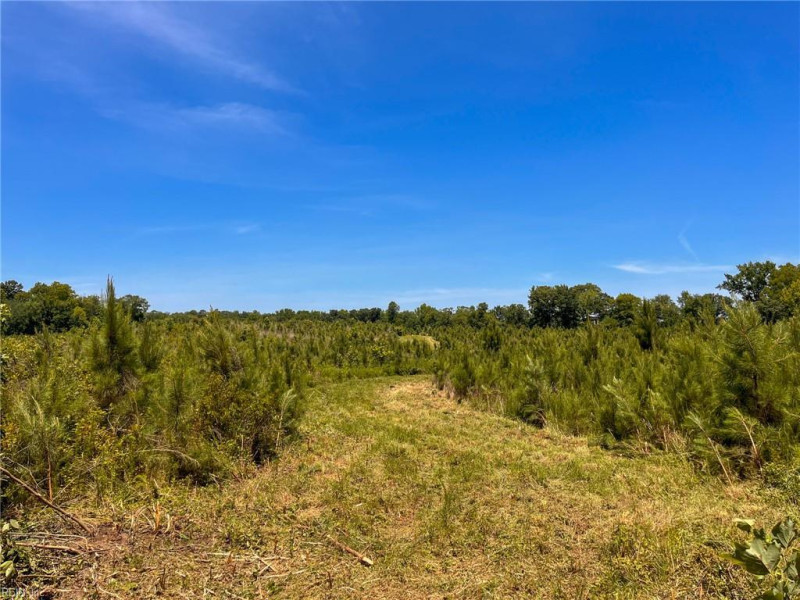 Photo 19 of 45 land for sale in Emporia virginia