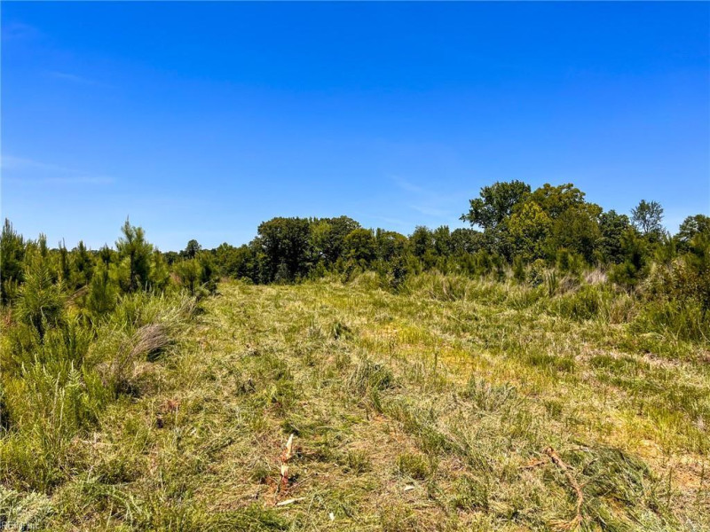 Photo 22 of 45 land for sale in Emporia virginia