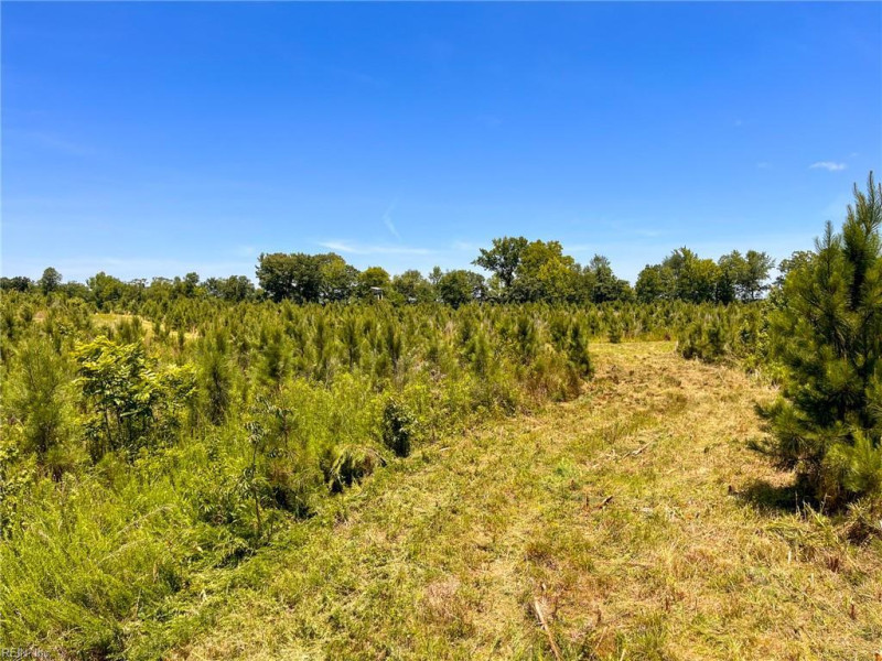 Photo 26 of 45 land for sale in Emporia virginia