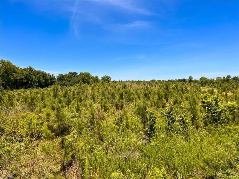 Photo 27 of 45 land for sale in Emporia virginia