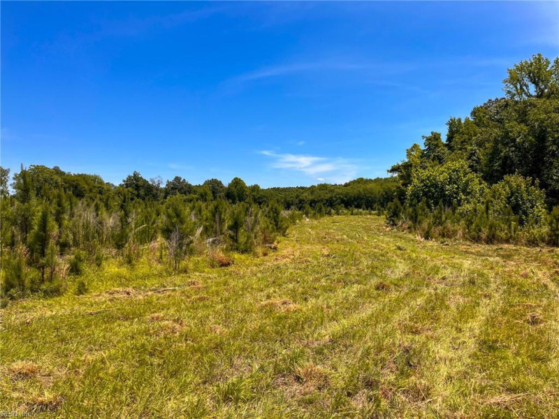 Photo 28 of 45 land for sale in Emporia virginia