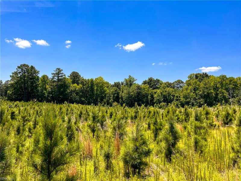Photo 31 of 45 land for sale in Emporia virginia
