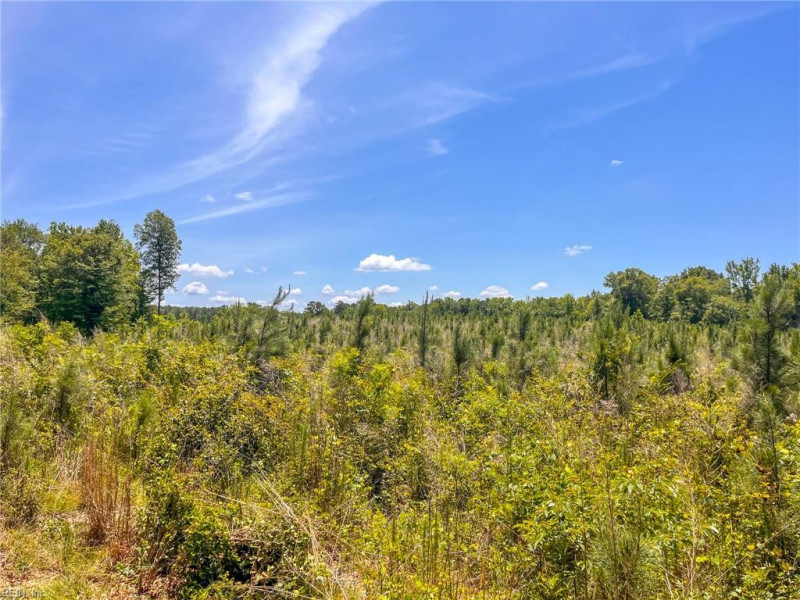 Photo 32 of 45 land for sale in Emporia virginia