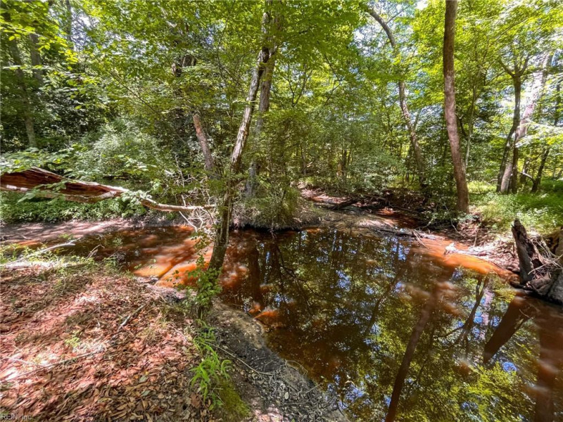 Photo 33 of 45 land for sale in Emporia virginia