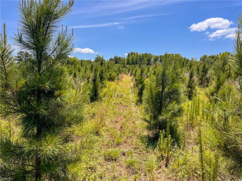 Photo 36 of 45 land for sale in Emporia virginia