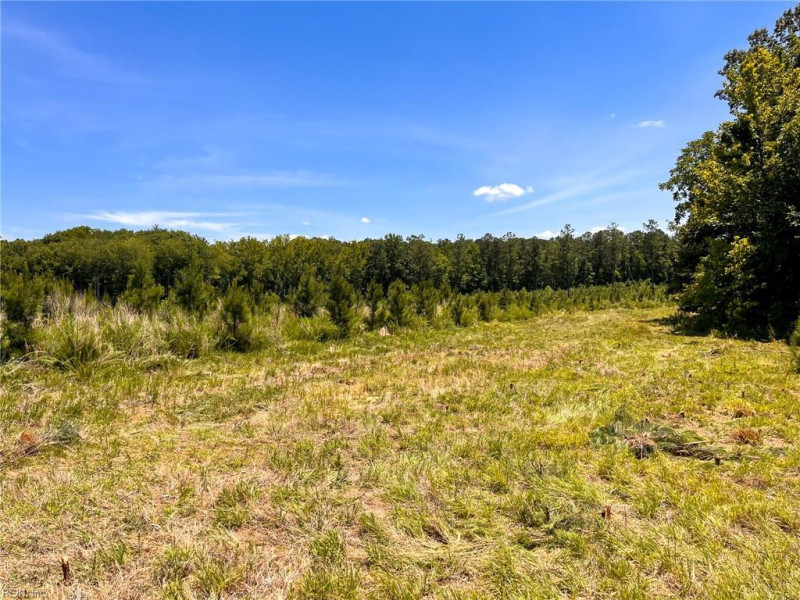 Photo 37 of 45 land for sale in Emporia virginia