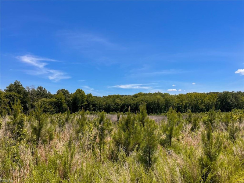 Photo 38 of 45 land for sale in Emporia virginia