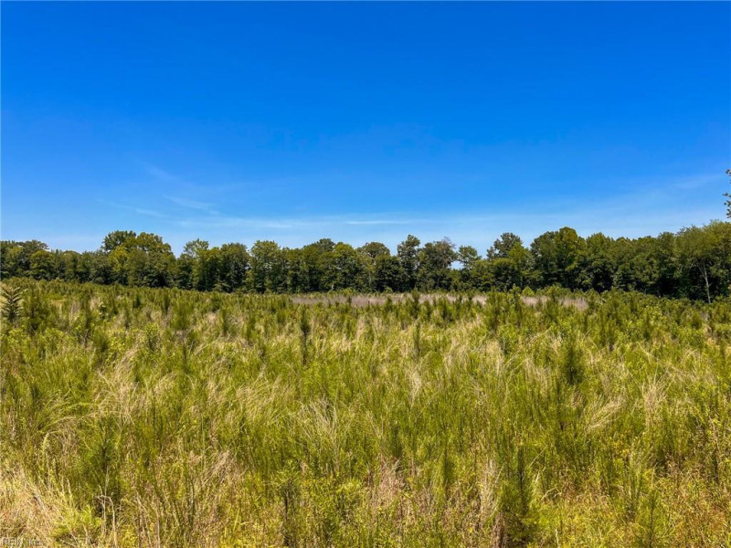 Photo 39 of 45 land for sale in Emporia virginia