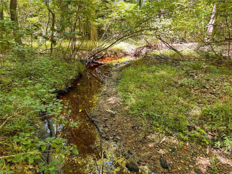 Photo 40 of 45 land for sale in Emporia virginia