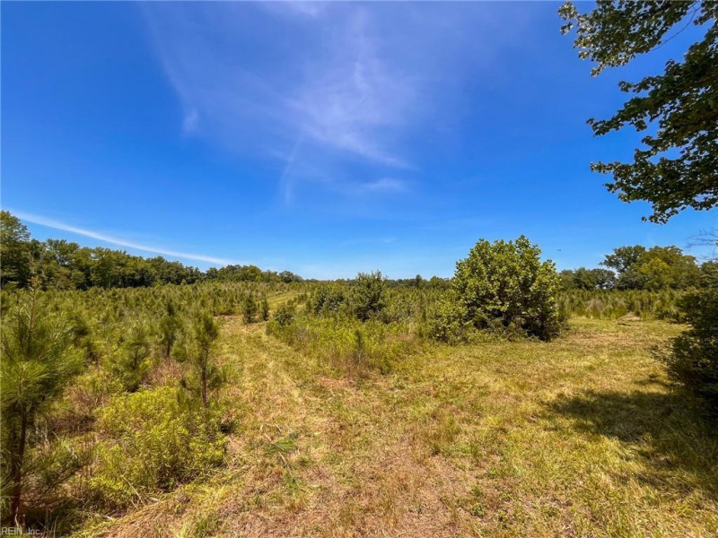 Photo 7 of 45 land for sale in Emporia virginia