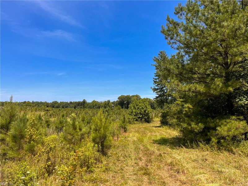 Photo 8 of 45 land for sale in Emporia virginia