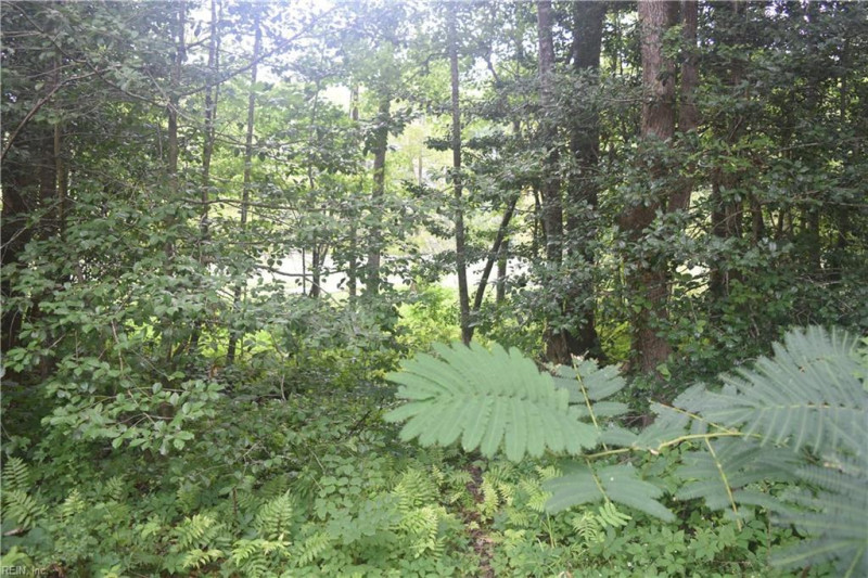 Photo 35 of 42 residential for sale in Isle of Wight County virginia