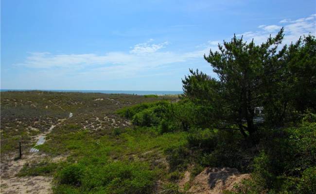 6908 Ocean Front Avenue, Virginia Beach, VA 23451