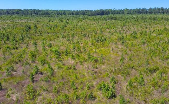 229 AC Moores Ferry Road, Emporia, VA 23847