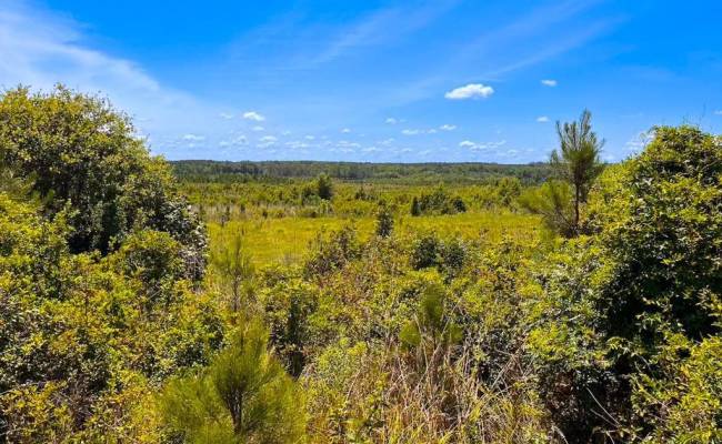 229 AC Moores Ferry Road, Emporia, VA 23847