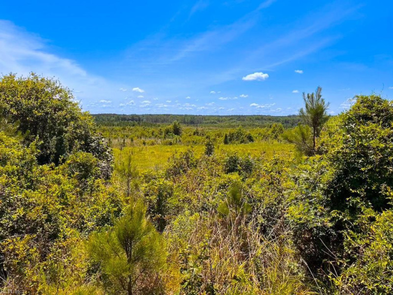Photo 11 of 45 land for sale in Emporia virginia