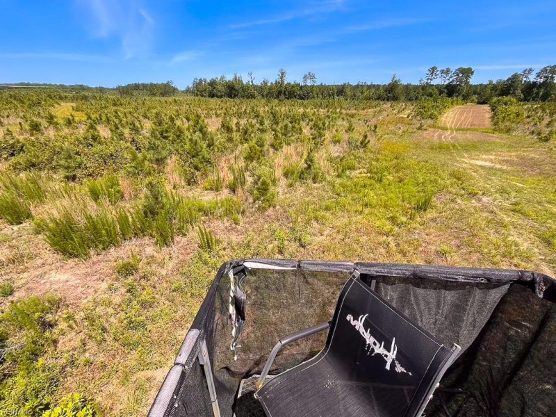 Photo 12 of 45 land for sale in Emporia virginia