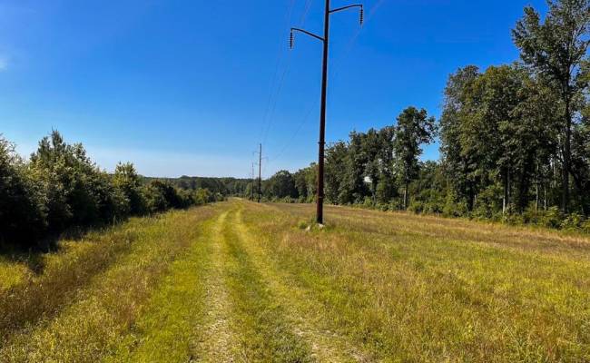 229 AC Moores Ferry Road, Emporia, VA 23847