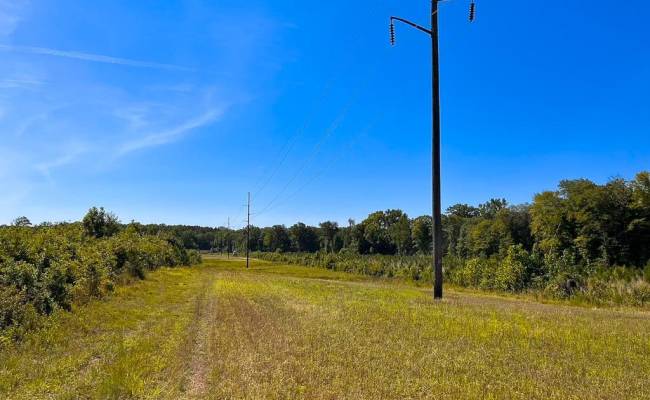 229 AC Moores Ferry Road, Emporia, VA 23847