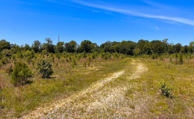 229 AC Moores Ferry Road, Emporia, VA 23847