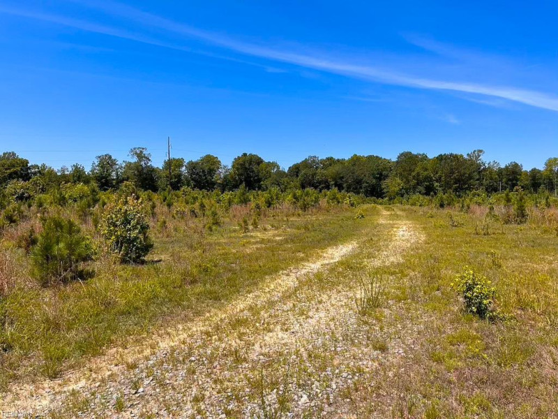 Photo 15 of 45 land for sale in Emporia virginia