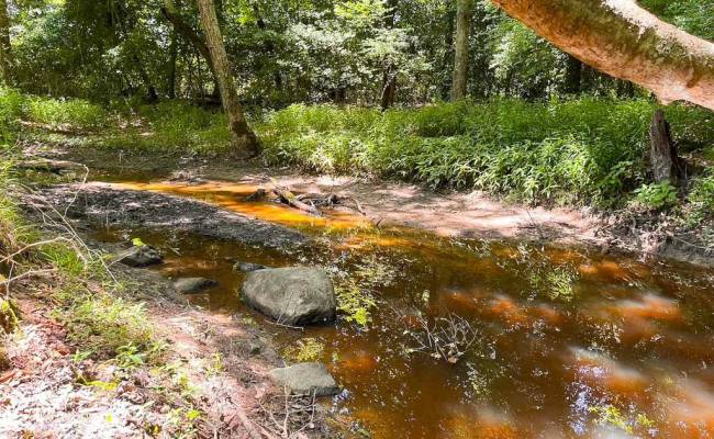 229 AC Moores Ferry Road, Emporia, VA 23847