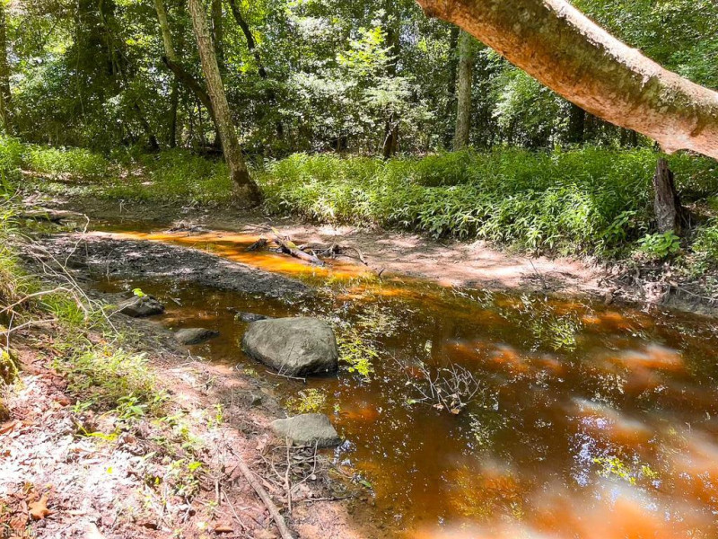 Photo 18 of 45 land for sale in Emporia virginia