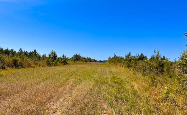 229 AC Moores Ferry Road, Emporia, VA 23847