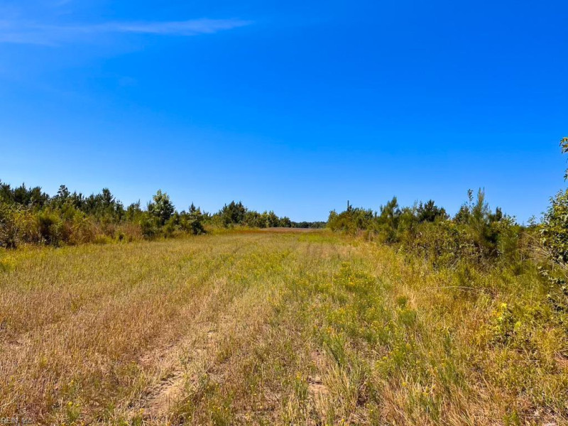 Photo 19 of 45 land for sale in Emporia virginia