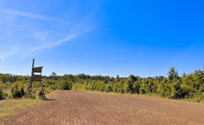 229 AC Moores Ferry Road, Emporia, VA 23847