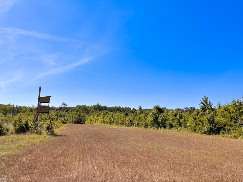 Photo 20 of 45 land for sale in Emporia virginia