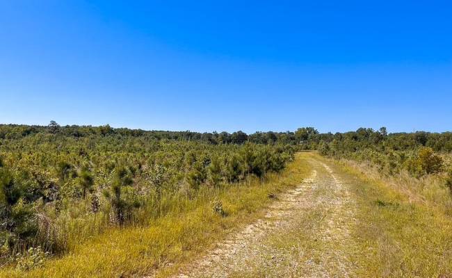 229 AC Moores Ferry Road, Emporia, VA 23847