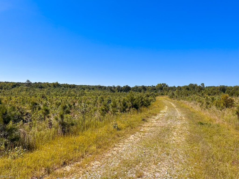 Photo 21 of 45 land for sale in Emporia virginia