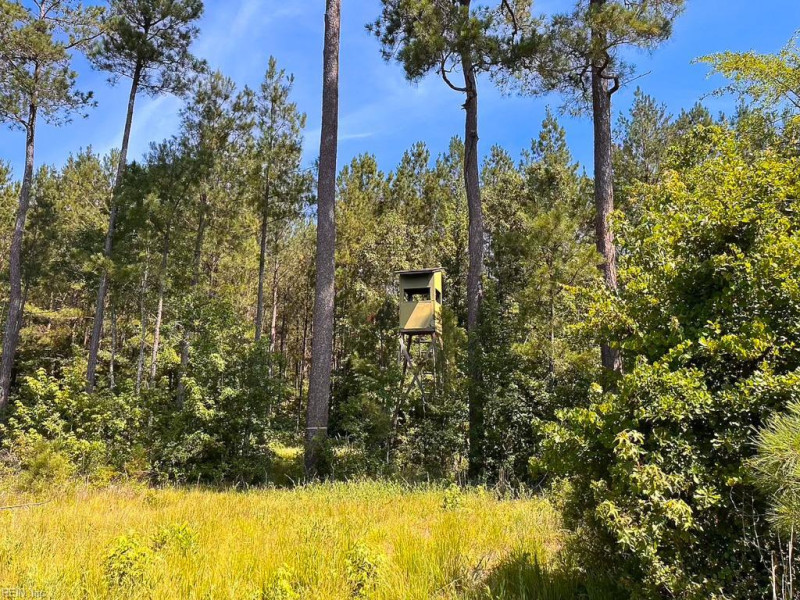 Photo 22 of 45 land for sale in Emporia virginia