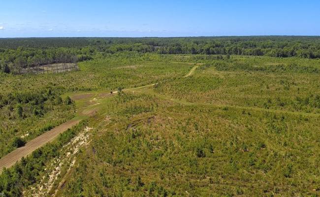 229 AC Moores Ferry Road, Emporia, VA 23847