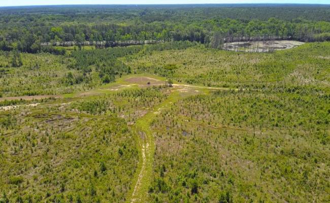 229 AC Moores Ferry Road, Emporia, VA 23847