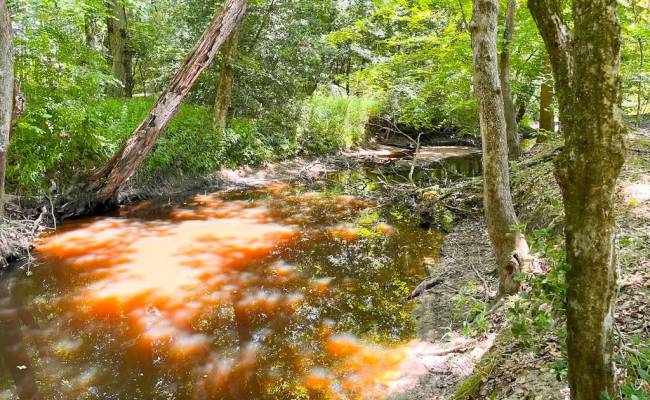 229 AC Moores Ferry Road, Emporia, VA 23847