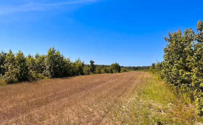 229 AC Moores Ferry Road, Emporia, VA 23847