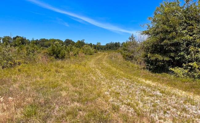 229 AC Moores Ferry Road, Emporia, VA 23847