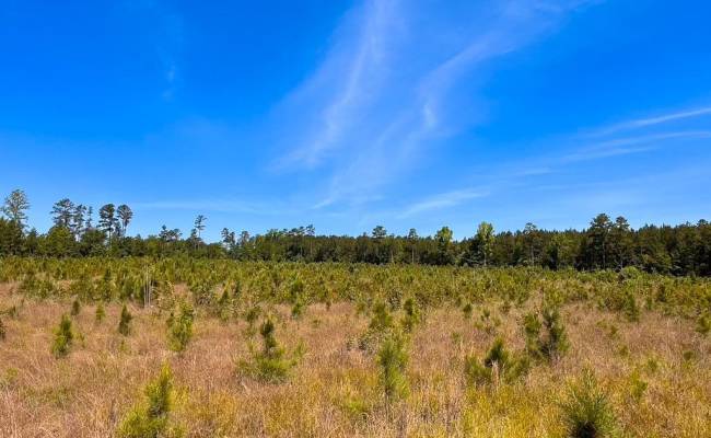 229 AC Moores Ferry Road, Emporia, VA 23847